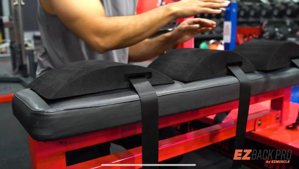 The EZBack Pro™ - (Mastery Bundle) EZMUSCLE